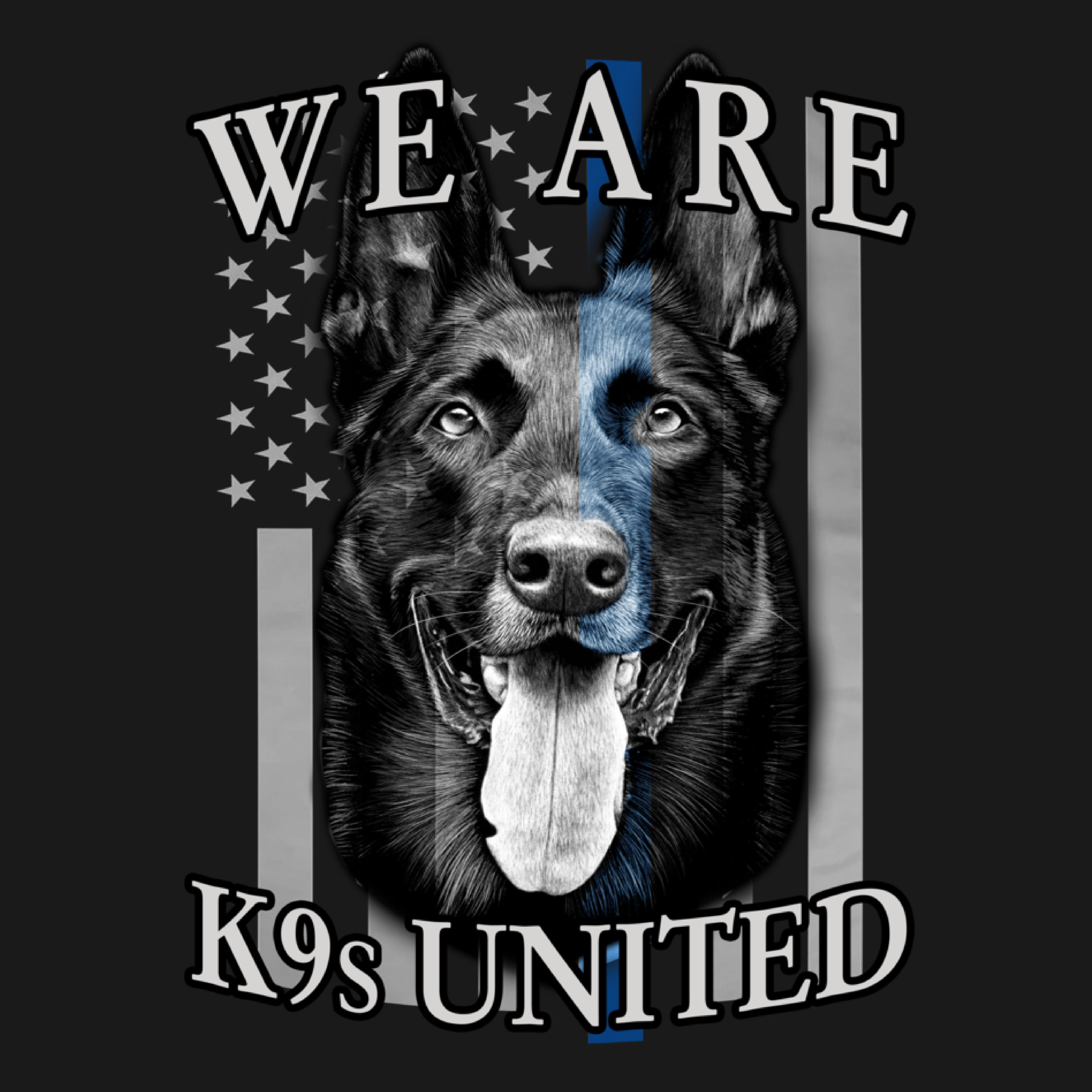 We Are K9s United Hoodie